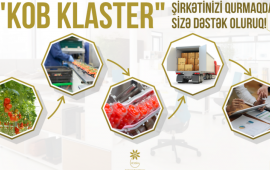 KOBİA klasterləşmə təşəbbüsü olan sahibkarlara müraciət edib