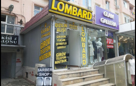 Lombarda qızıl qoyanlar DİQQƏT: Yoxlamalısınız 
