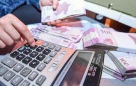 Bu şirkətin bir milyon manata yaxın vergi borcu üzə çıxdı 