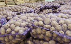 500 ton kartofun sahibi tapılmır  Gömrükdə çürüyür