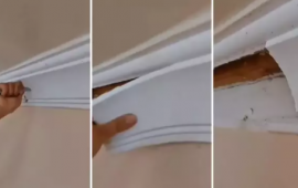 Bakıda evdən görün nə tapıldı  İllərdir belə yaşayıblar...  FOTO