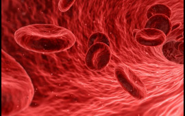 Qanda dəmiri artıran məhsullar a&ccedil;ıqlandı