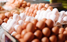 Yumurta kəskin bahalaşdı  Səbəb nədir?  AÇIQLAMA