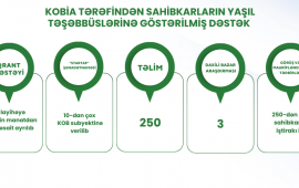 Sahibkarların “yaşıl layihə”lərinin maliyyələşdirilməsinə dəstək üçün 450 min manat həcmində qrant ayrılıb