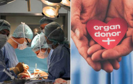 Donor lazım olanda hara müraciət etmək lazımdır? 