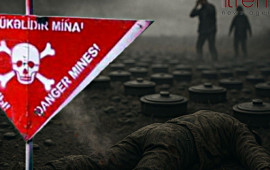 Mina faciələri: bu bəladan qurtulmaq üçün nə etməliyik?