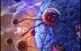 Xər&ccedil;əngin dərmanı TAPILDI  Bu heyvan imiş