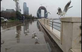 Aprelin 24ü gecədən hava kəskin pisləşəcək