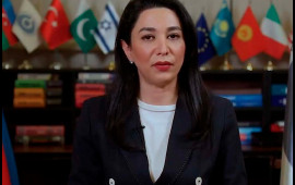Ombudsman beynəlxalq ictimaiyyəti Ermənistanı basdırılmış minalara görə məsuliyyətə cəlb etməyə çağırıb