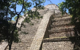 Mayaların it ticarəti etdiyinə dair s&uuml;butlar tapıldı