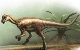 Sirli qaçan dinozavr Yura dövrünün başqa bir sirrini açdı