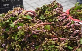 M&uuml;haribəyə gedən əsgərlər istifadə edirmiş  Faydası saysay bitmir