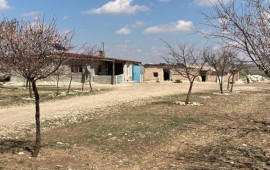 Ana 3 yaşlı qızını amansız şəkildə qətlə yetirdi: Sevdaya ömürlük həbs cəzası 